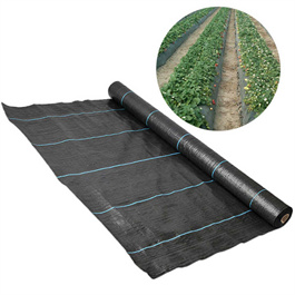 Factory Greenhouse PP Woven Weed  Ground Cover Mesh Fabric / Agricultural Black Plastic Gardening Ground Cover