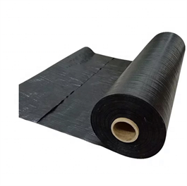 Roll/piece Packaging Green Housenon Woven Cover Black Polypropylene Anti Weed Control Molding