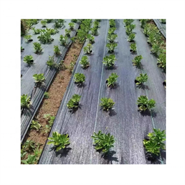 100% PP Woven Agriculture Ground Cover Anti Grass Cloth WeedControl Mat