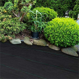 PP ground cover black PP ground cover product  green ground cover plastic mulch film Greenhouse agriculture