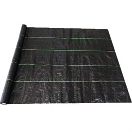 Agriculture PP woven weed barrier fabric anti weed mat for strawberries blueberries horticulture ground cover weed control mat